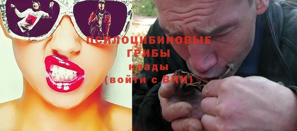 эйфоретик Алексин
