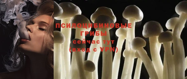 мяу мяу мука Алзамай