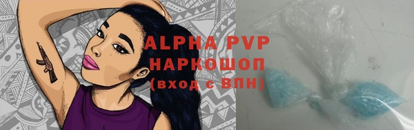 мяу мяу мука Алзамай