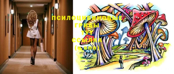 эйфоретик Алексин