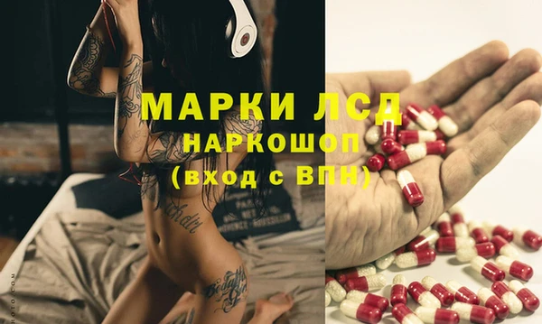 PSILOCYBIN Алексеевка