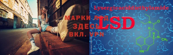 PSILOCYBIN Алексеевка